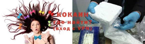 стафф Алзамай