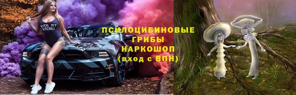таблы Алексин