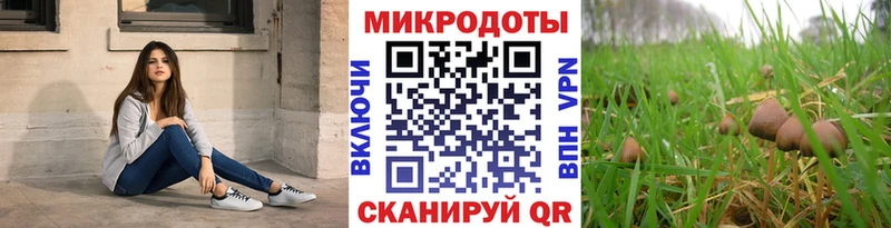 закладка  Углегорск  Псилоцибиновые грибы мицелий 